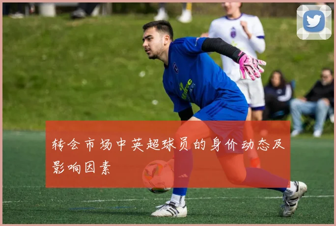 转会市场中英超球员的身价动态及影响因素