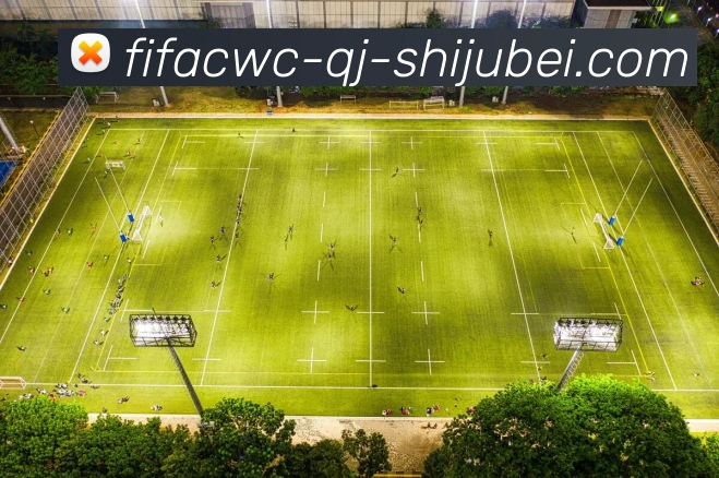 世界杯直播服务体系